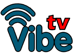 Produkcijska kuća Topmedia, nakon četiri godine uspešnog rada i saradnje sa brojnim popularnim pevačima, ponosno najavljuje lansiranje novog televizijskog kanala – Vibe TV.