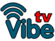 Produkcijska kuća Topmedia, nakon četiri godine uspešnog rada i saradnje sa brojnim popularnim pevačima, ponosno najavljuje lansiranje novog televizijskog kanala – Vibe TV.