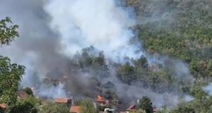PRIZNAO KAKO JE IZAZVAO POŽAR KOD BOVANSKOG JEZERA: Uhapšen muškarac (65), izgorele tri vikendice