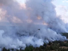 VELIKI POŽAR NA GOČU! Vatra zahvatila planinu, 21 vatrogasac sa osam vozila na terenu