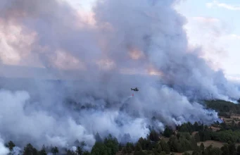VELIKI POŽAR NA GOČU! Vatra zahvatila planinu, 21 vatrogasac sa osam vozila na terenu